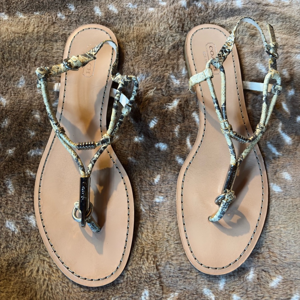 Coach Women's Snakeskin Pattern Sandals